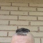 Biggtex85