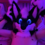 PetMillie