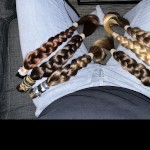 SWEDISHLONGHAIR