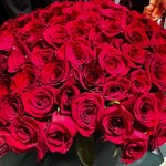 EmperorSyria1