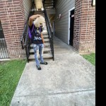 Geebabii420