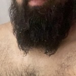Biglatinbear
