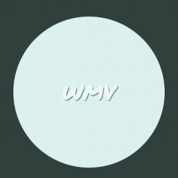 wmvpov