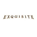 Exquisite avatar