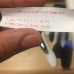 damnkatii24