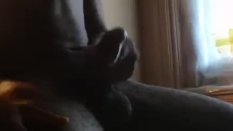 HD