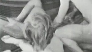 Классические олени 286 1960-е - Сцена 4