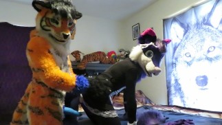 Servindo ao Tigre Parte Dois