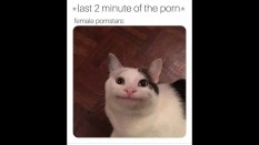 dumb shit