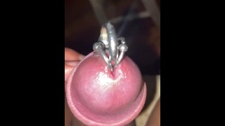 Recién comenzando para esta noche. Múltiples piercings de polla.