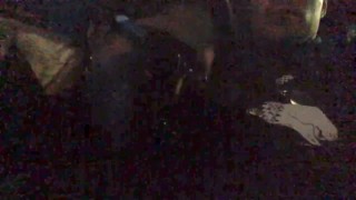 ramassé une prostituée latina et elle m’a fait une pipe Baveuse dans ma voiture
