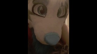 POV o tom, že jste odchováni vlastní fursonou