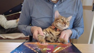 DJ Pussys intensives Spiel .... Die Tanzfläche tobt und es ist eine Party heute Abend!
