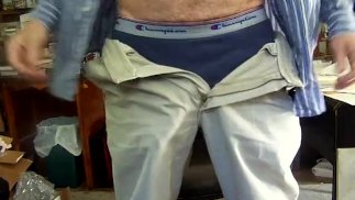 教師のレッスンのHairyartist