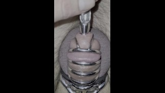 Estiramiento de uretra encerrado en mi jaula!