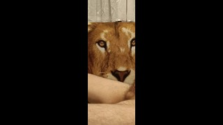 オナニーソロ男性ハメ撮り手コキ