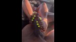 Playlist Thumb 9751091-1