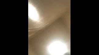 Утренний лес с массивным камшотом