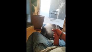 Desperacja siusiu na moją roślinę i poduszkę