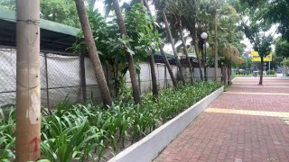 Sto mangiando rambutan a Saigon