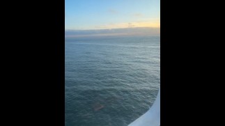 Fucking at sea